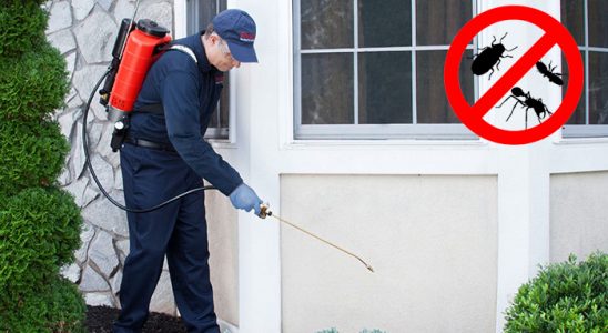 Süleymanpaşa Gümüşkurt İlaçlama böcek ilaçlama ve haşere kontrolü — ilaclama-tr.com